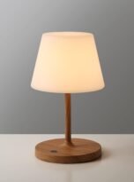 51vNn8bGOL._AC_SL1500_.jpg